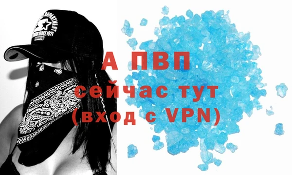 молекула духа Лихославль