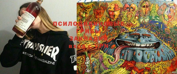 амфетамин Белокуриха